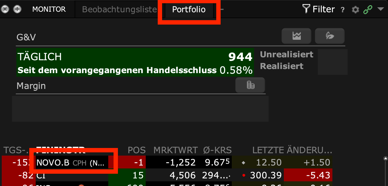 Portfolio der Interactive Brokers TWS