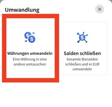 Währung umwandeln Bildschirm der Interactive Brokers App